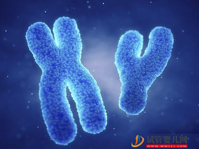 夫妻2號染色體微缺失不必擔心遺傳給下一代嗎？(圖1)