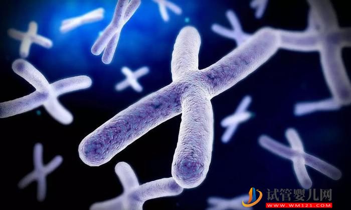 Y染色體完整測(cè)序或改善細(xì)菌DNA研究(圖1)
