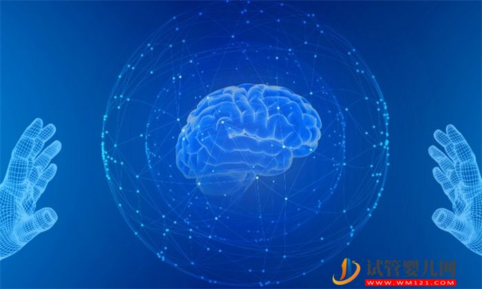 數千年間，腦容量下降了約10% 人類的大腦是怎么“丟”的？(圖1)