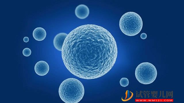 男性不育常見病一覽，輸精管阻塞占不孕人群的30%(圖1)