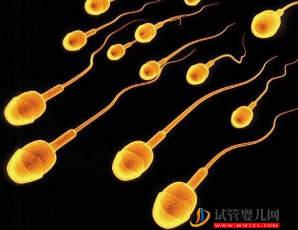 胚胎移植前注意事項(xiàng)清單，千萬別忘了體檢、謹(jǐn)慎選機(jī)構(gòu)(圖2)