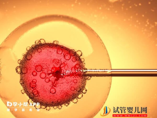 胚胎移植前注意事項(xiàng)清單，千萬別忘了體檢、謹(jǐn)慎選機(jī)構(gòu)(圖1)