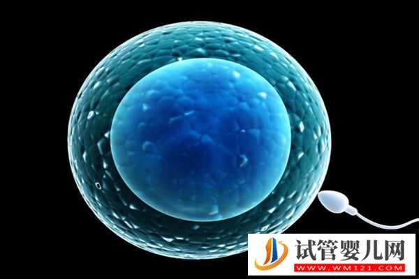 精子質量會影響試管嬰兒成功率嗎?揭秘背后的真相!(圖2) 精子質量會影響試管嬰兒成功率嗎?揭秘背后的真相!(圖2)