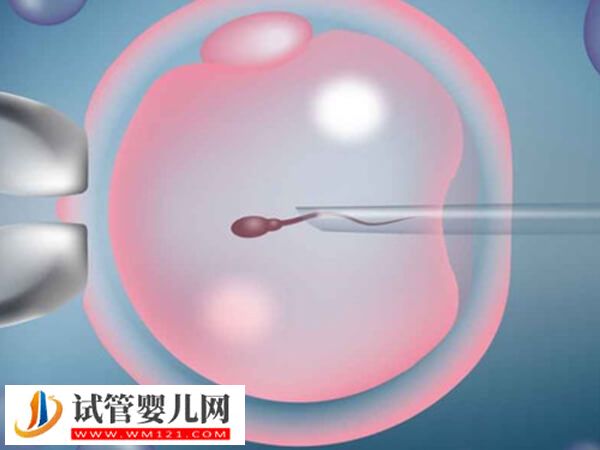 新余市權威生殖中心分享，成功率平均50%(圖2)