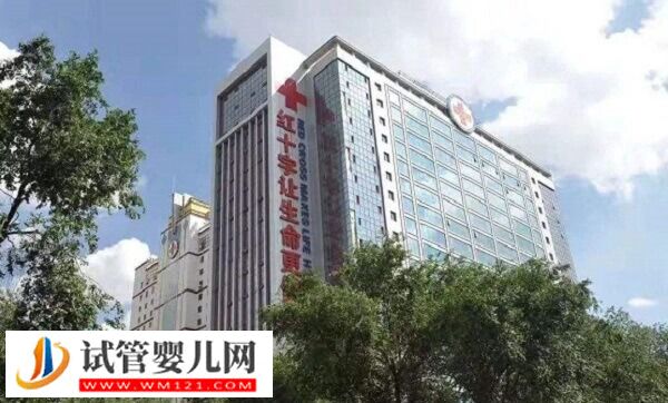 青海紅十字醫(yī)院一代試管嬰兒多少錢(圖1)