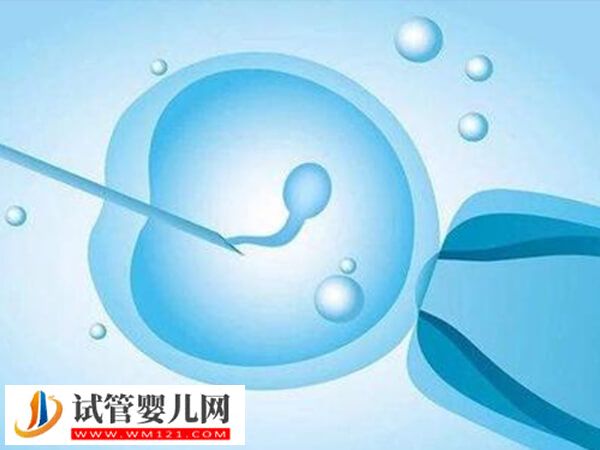 北京協(xié)和醫(yī)院試管嬰兒成功率(圖1)