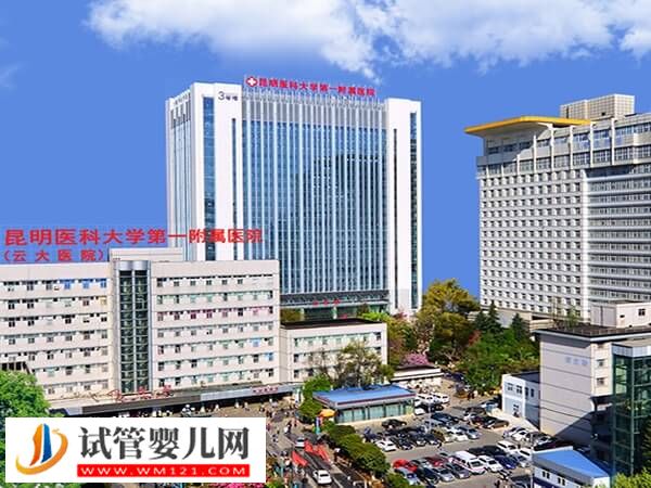 昆明試管嬰兒機構推薦，附具體花銷和選院指南！(圖2)