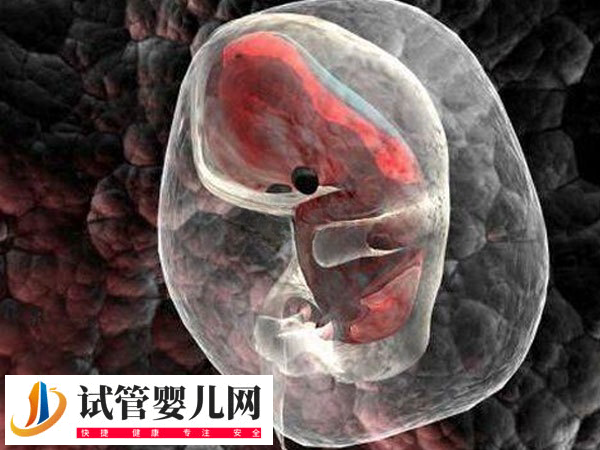 泰國試管嬰兒技術(shù)好不好(圖1)