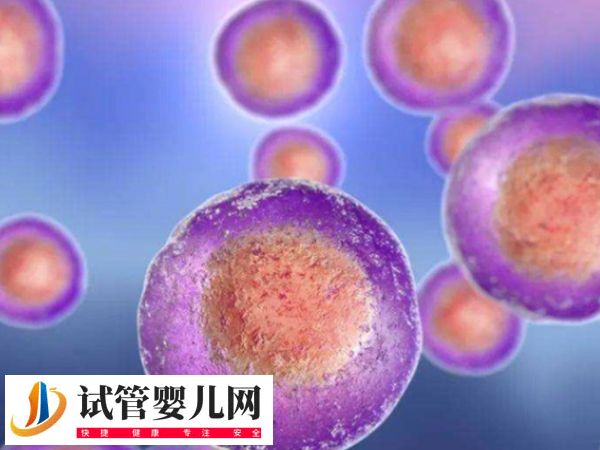 在美國(guó)做試管優(yōu)質(zhì)胚胎是啥樣的(圖2)