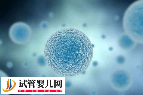 南京鼓樓做試管成功率多高(圖2)