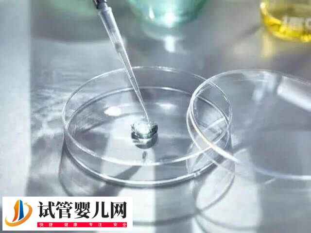 三代試管10萬元能否成功(圖1)