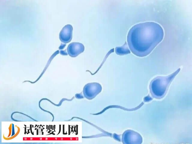 2025年試管嬰兒費(fèi)用大約多少(圖2)