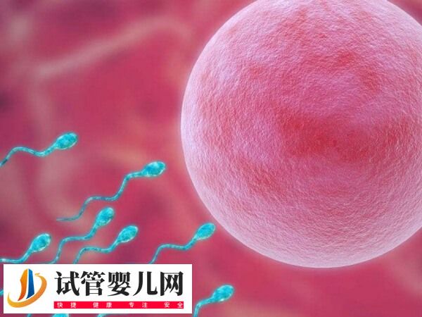 二代試管5aa胚胎質量怎么樣