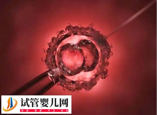 二代試管5aa胚胎質量怎么樣(圖2)