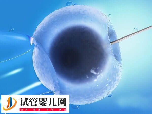 試管促排方案都適合哪些人(圖3)