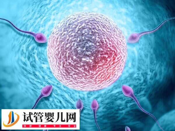 做一次促排卵要花多少錢(圖2)