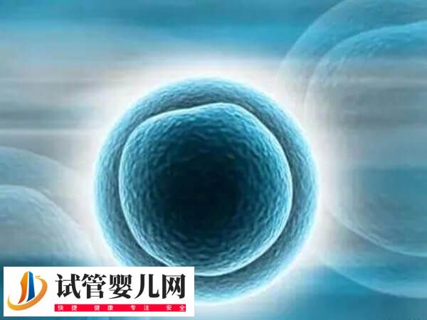 卵泡發(fā)育哪些階段會(huì)出現(xiàn)閉鎖