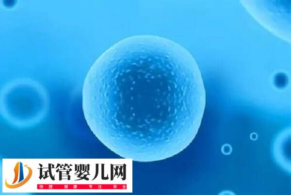 卵泡發育哪些階段會出現閉鎖(圖3)