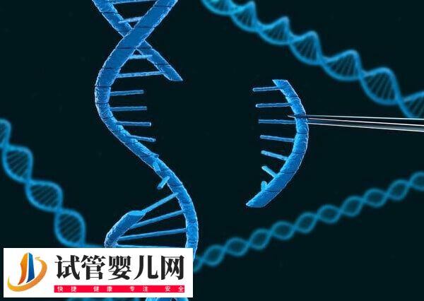 22號(hào)染色體異常會(huì)有哪些遺傳病(圖3)