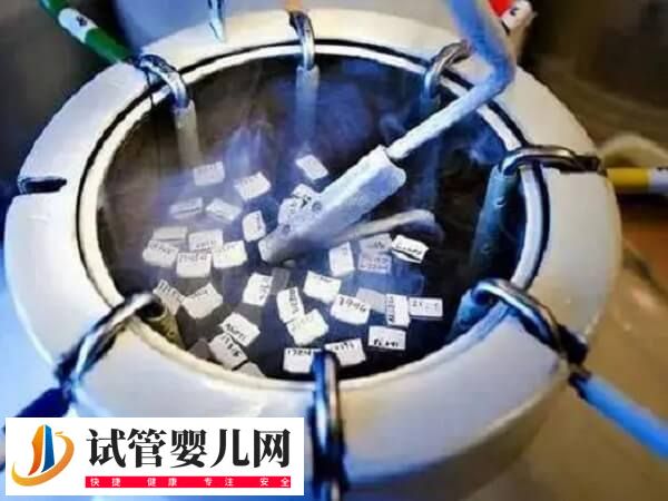 胚胎冷凍后還能不能養(yǎng)囊