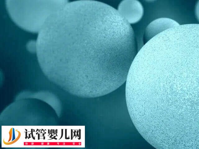 女性腎炎影不影響試管成功率