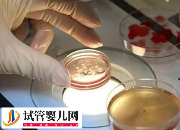 女性冷凍卵子后離婚了還能不能用(圖2)