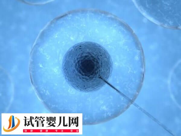 女性骨髓造精多少錢(圖2)