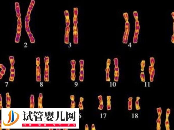 女性47三個X染色體能不能正常懷孕(圖2)