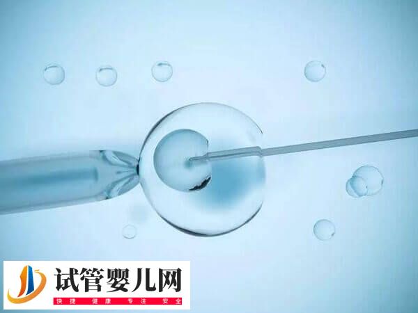 5aa囊胚移植后是不是一定生男孩