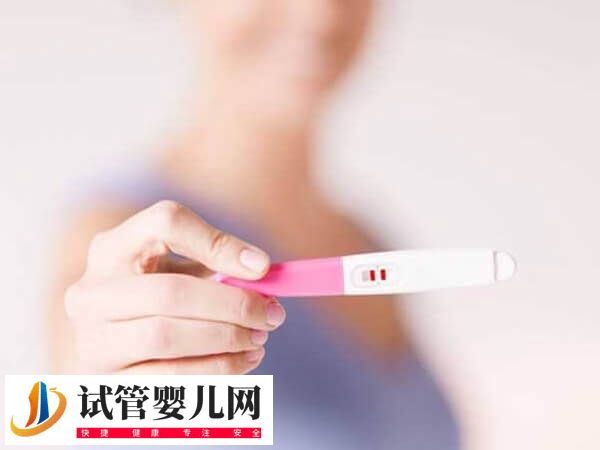 5aa囊胚移植后是不是一定生男孩(圖2)