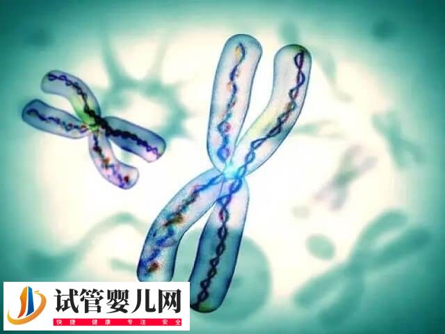 試管三代囊胚檢測有沒有風險