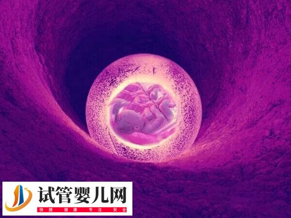 基礎卵泡少試管成功案例有哪些