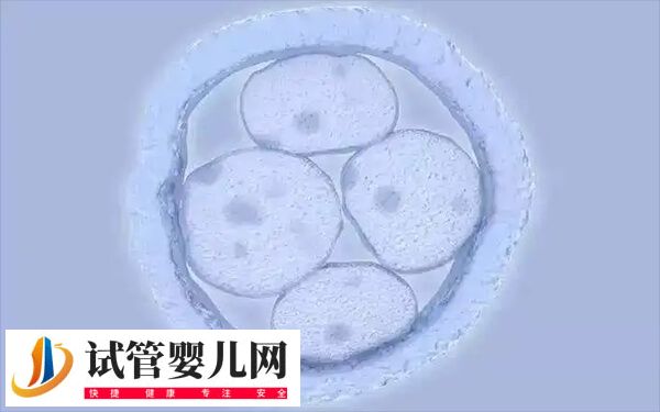 高齡做試管嬰兒怎樣合理備孕