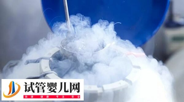 胚胎解凍移植內膜準備方案怎么選擇