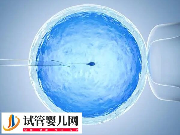 試管嬰兒一次成功率有多大