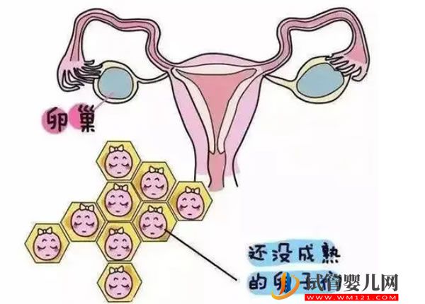 去美國生子需要做些什么準備(圖2)