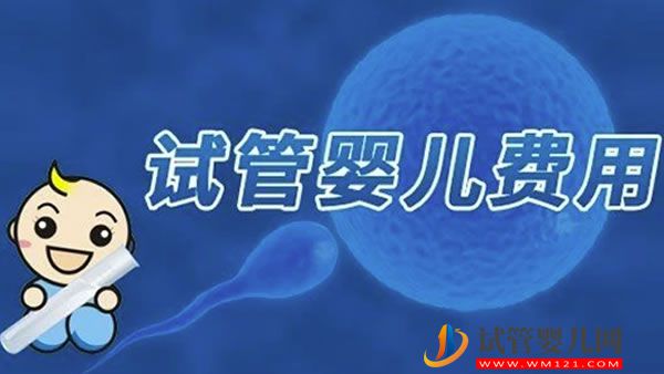 別胡亂信謠言,馬來西亞試管嬰兒懷孕后這樣保胎才正確 (圖3)