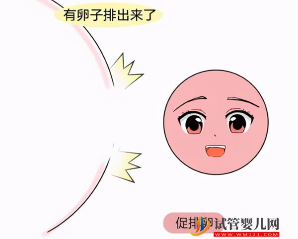 美國試管嬰兒移植后，七大癥狀說明你有了(圖1)