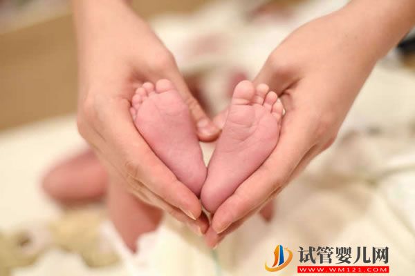 精子質量差？這些食物可以助你強精益氣！(圖3)