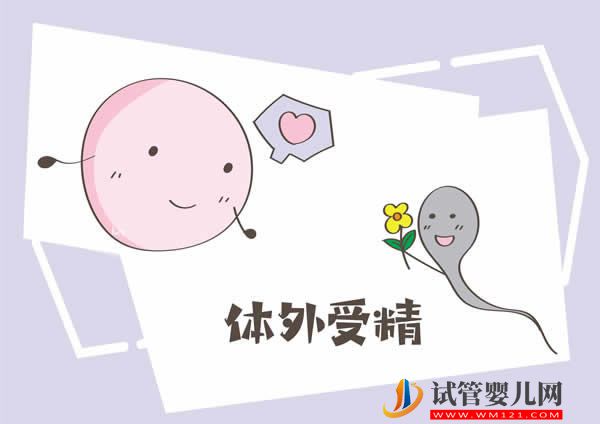 中國試管嬰兒的規(guī)定要求(圖1)