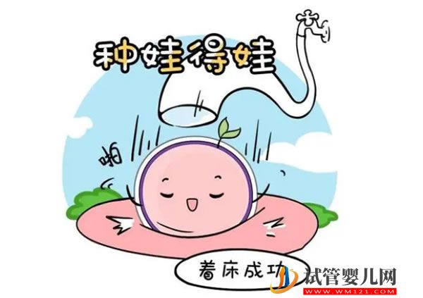 卵巢低反應(yīng)去做試管嬰兒怎么做(圖2)