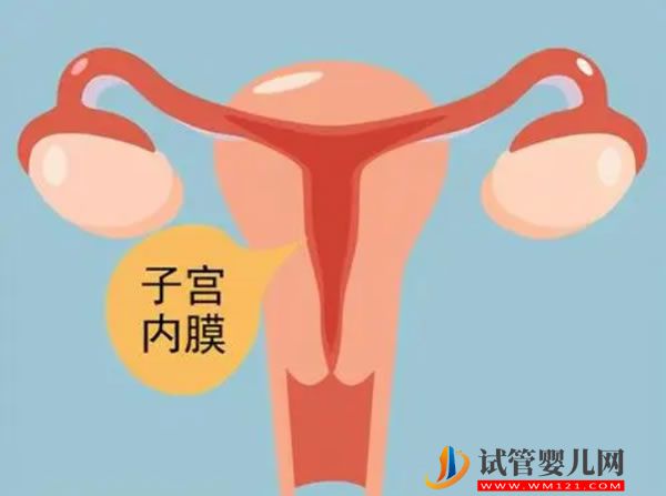美國試管嬰兒優勢有哪些 會比國內試管嬰兒更健康嗎(圖3)