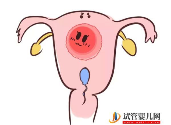 泰國試管嬰兒包含哪些費用？哪些費用是智商稅？(圖2)